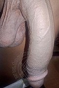 Bologna Trav Crystal 353 3140303 foto selfie 21
